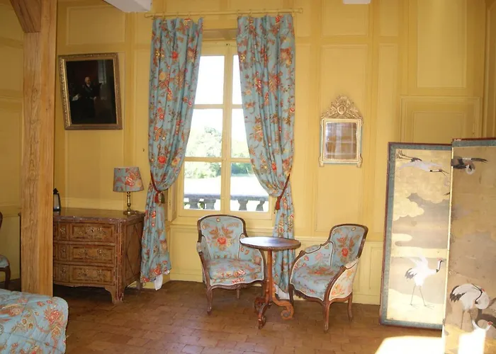 Chateau Du Blanc Buisson فندق مبيت وإفطار 3*